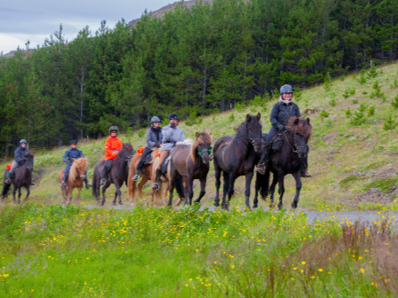 Iceland Horse Riding Tour 